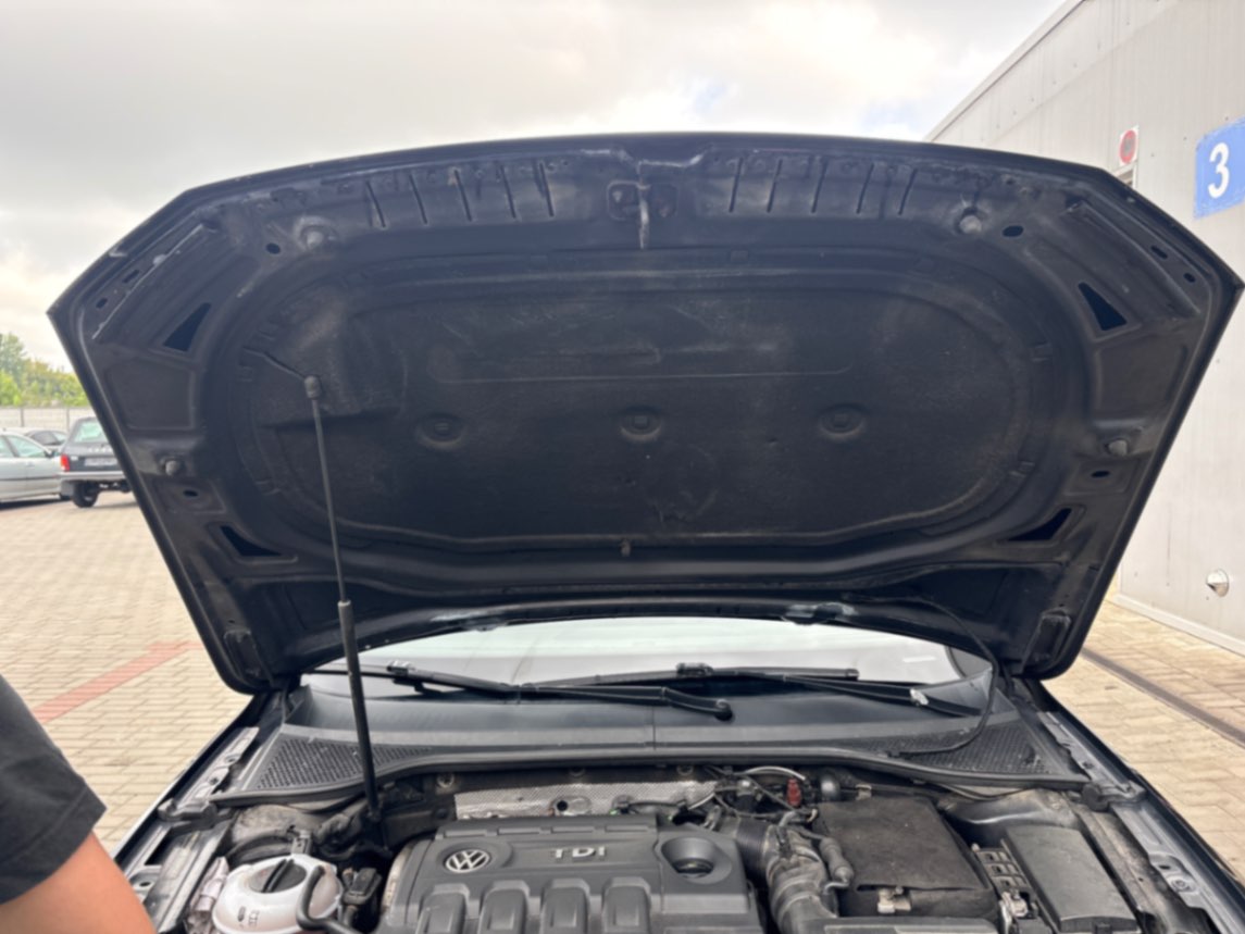  Passat