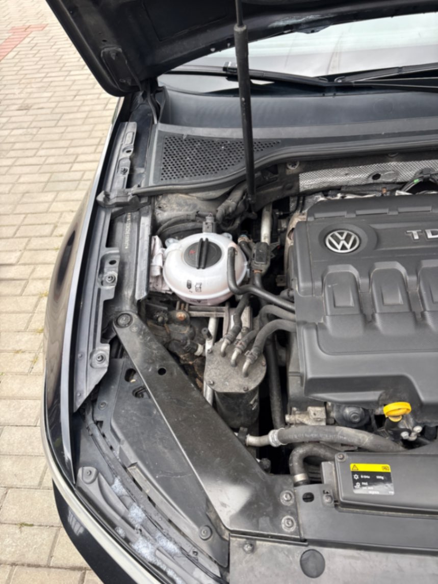  Passat