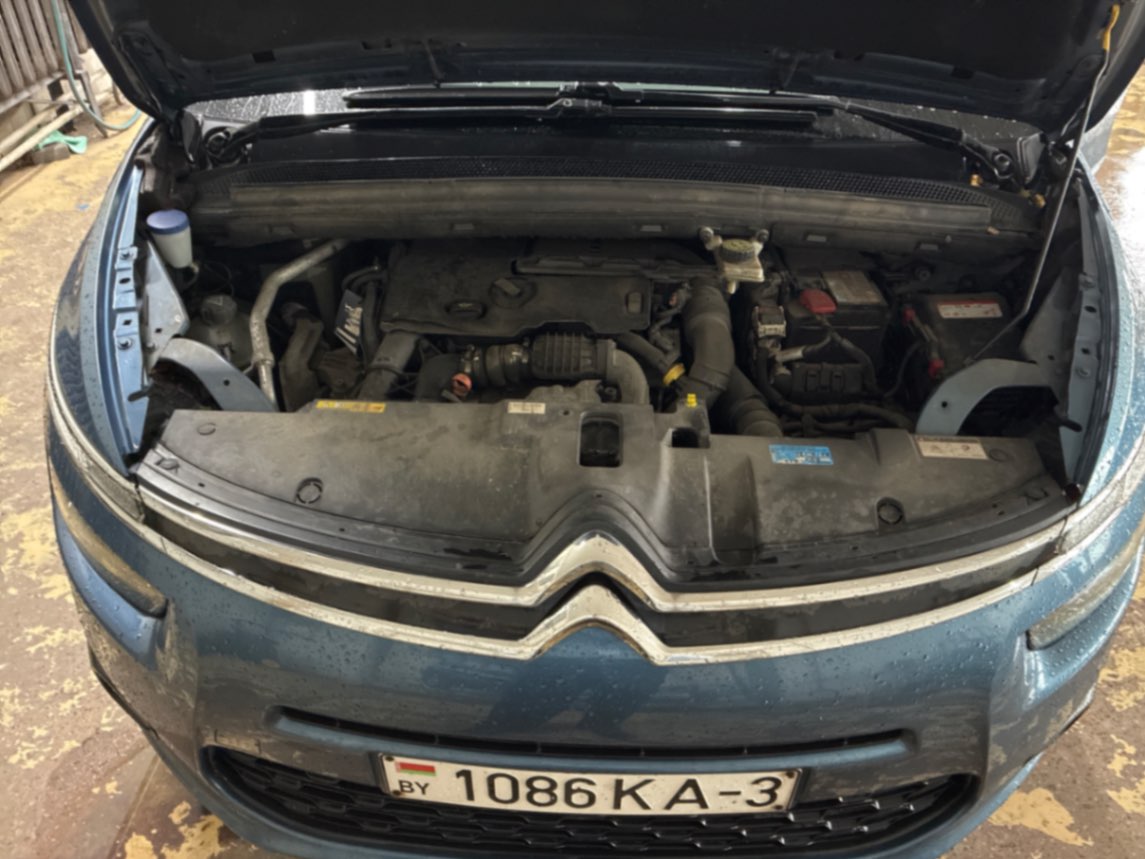  C4 Picasso