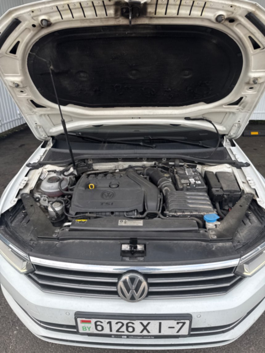 Passat