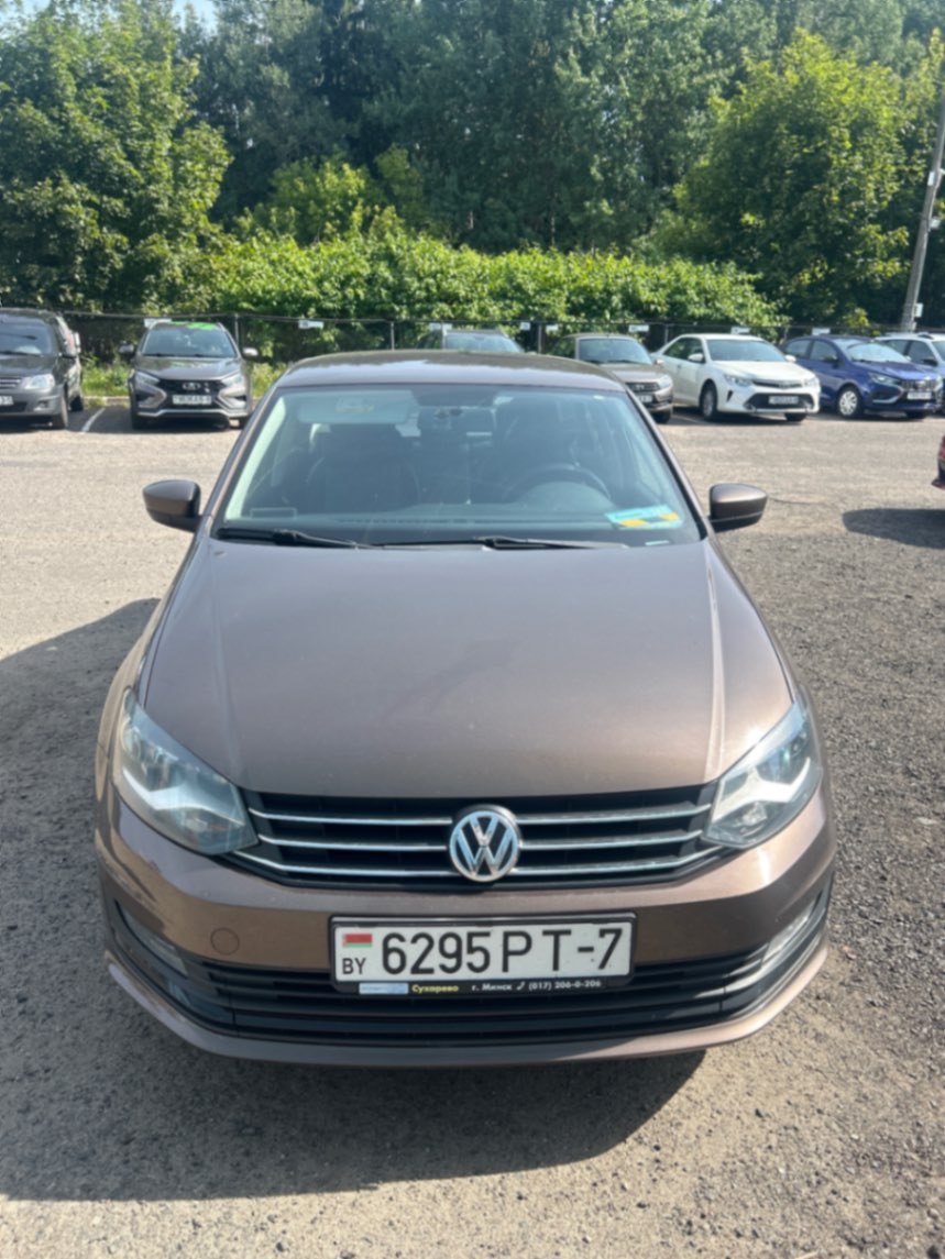  Polo
