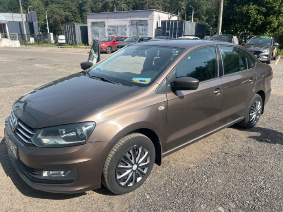  Polo